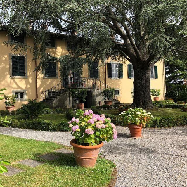 Villa Leoni 卡潘诺里 外观 照片